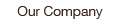 Our Company