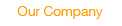 Our Company
